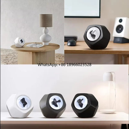 Magnetic Fluid Speaker