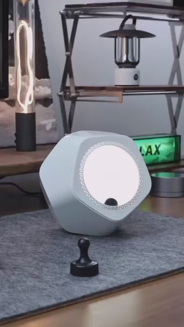 Magnetic Fluid Speaker